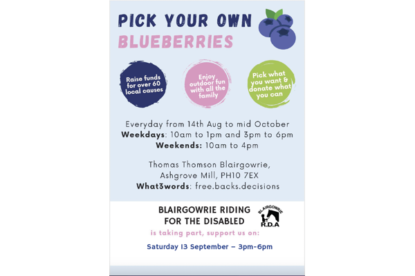 Blairgowrie Riding for the Disabled Blueberry Picking